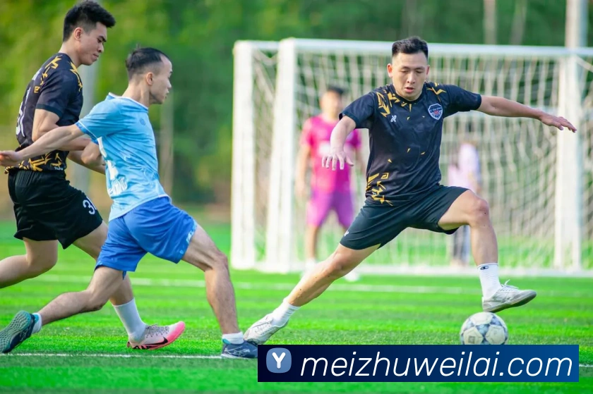 mksports官方app官网入口平台生态图
